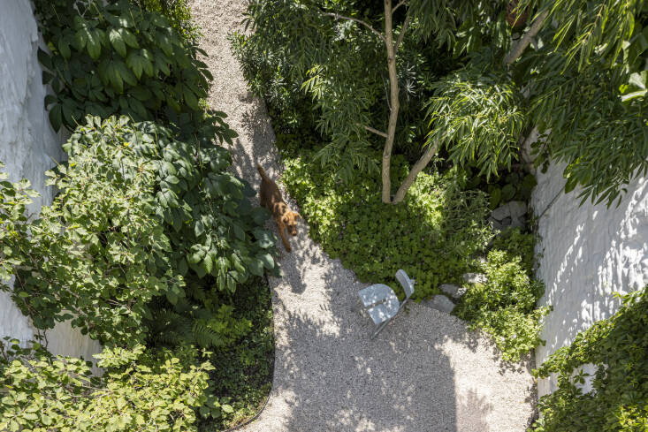 Looking down from the green roof onto the small garden. \2\20;The back of our house is southwest oriented so we catch a lot of light. We deliberately planted a lot of trees in our garden to create a cooler environment on hot days. Next to the cooling effect, the trees also make the garden feel more private, whilst maximizing the \2\16;green effect\2\17;,\2\2\1; says Kelly.