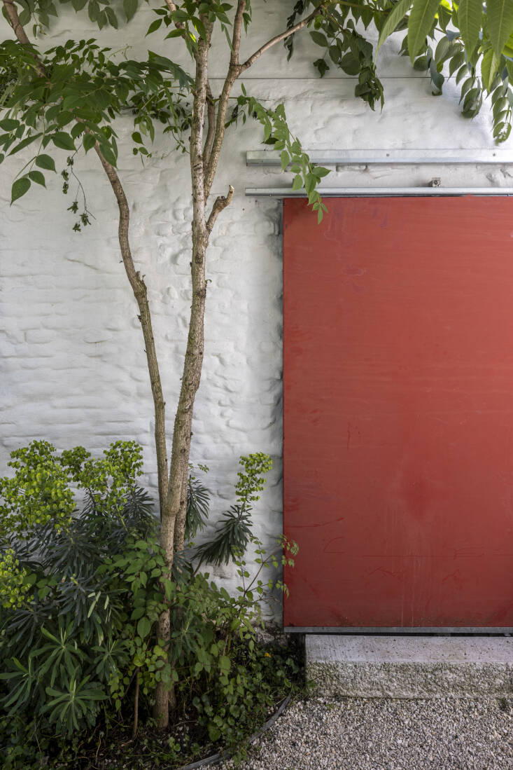 \2\20;The metal door used to be a facade panel of the WTC towers in Brussels that were demolished a couple of years ago. We re-purposed it and created a sliding door from it,\2\2\1; explains Kelly. Behind it is storage space for their gardening tools and a bin for gardening waste. Growing next to it: a Japanese angelica tree (Aralia elata), Mediterranean spurge (Euphorbia characias), and ground ivy (Glechoma hederacea).