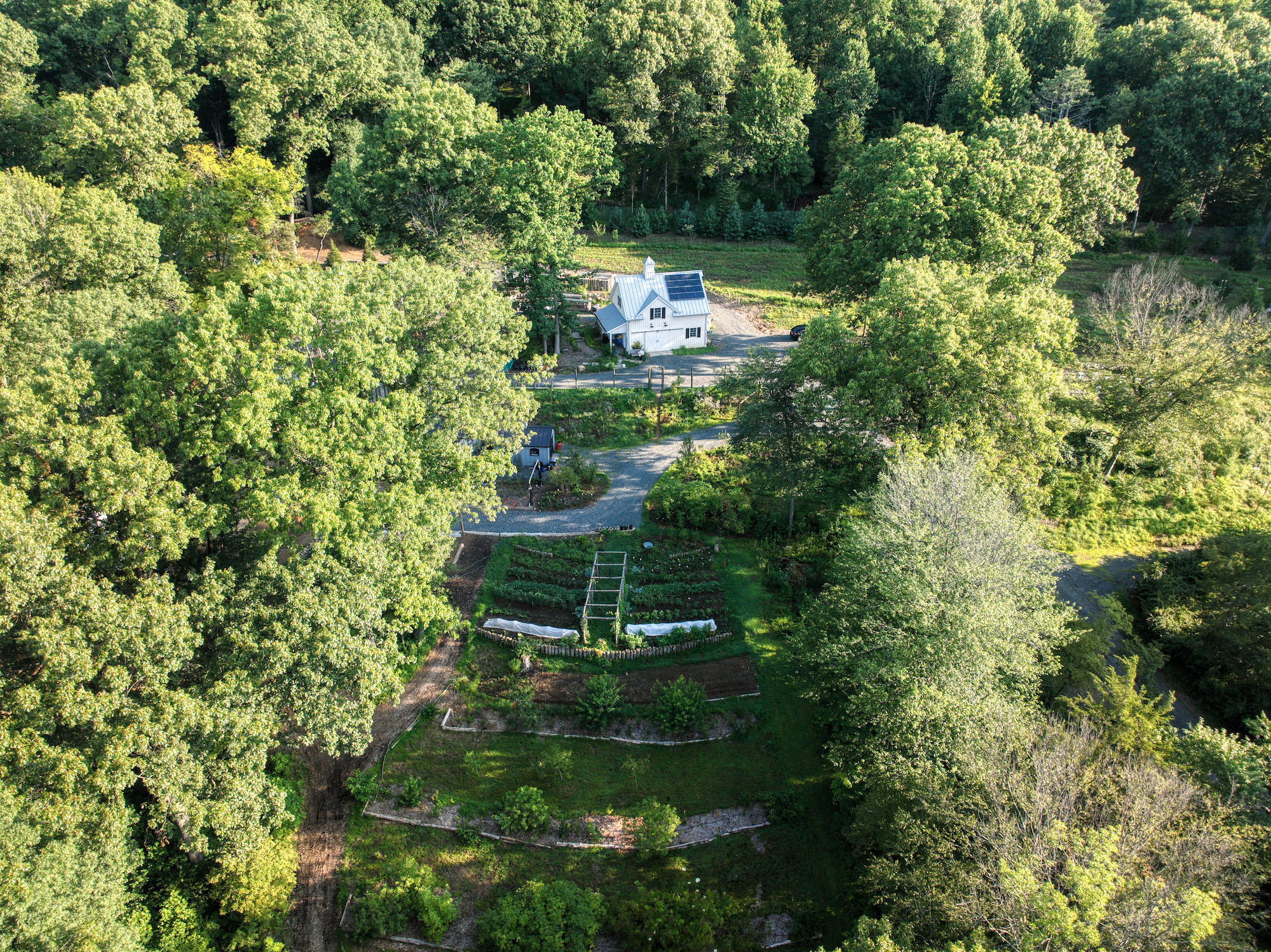 Maranatha Farm in Somsert Hills, NJ: Michele Logan’s Permaculture-Based Farm
