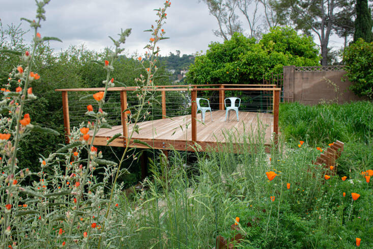 Above: This hillside garden is an example of a full design and install project that Newsom executed for a client.
