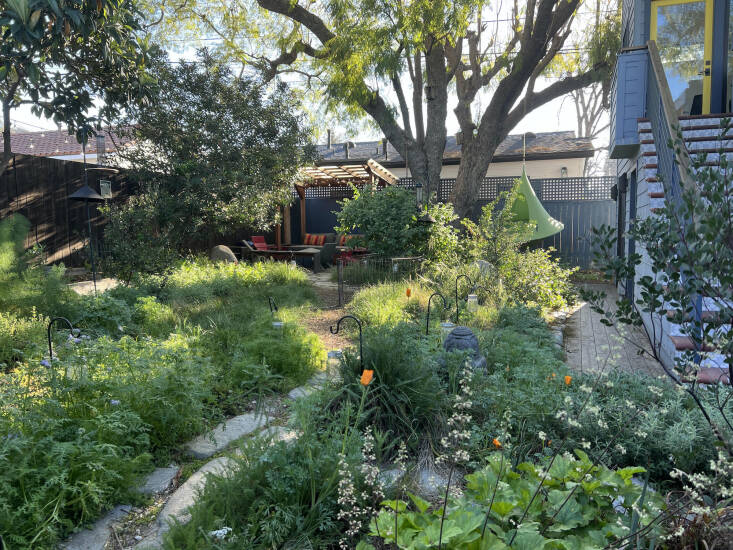 Above: Newsom’s own wild yard looking particularly lush after California’s atmospheric rivers this past spring.