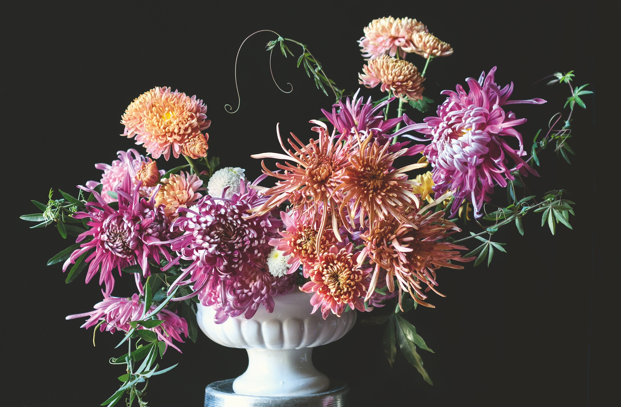Naomi Slade’s ‘Chrysanthemums’ Book: A Love Letter to the Misunderstood Flower