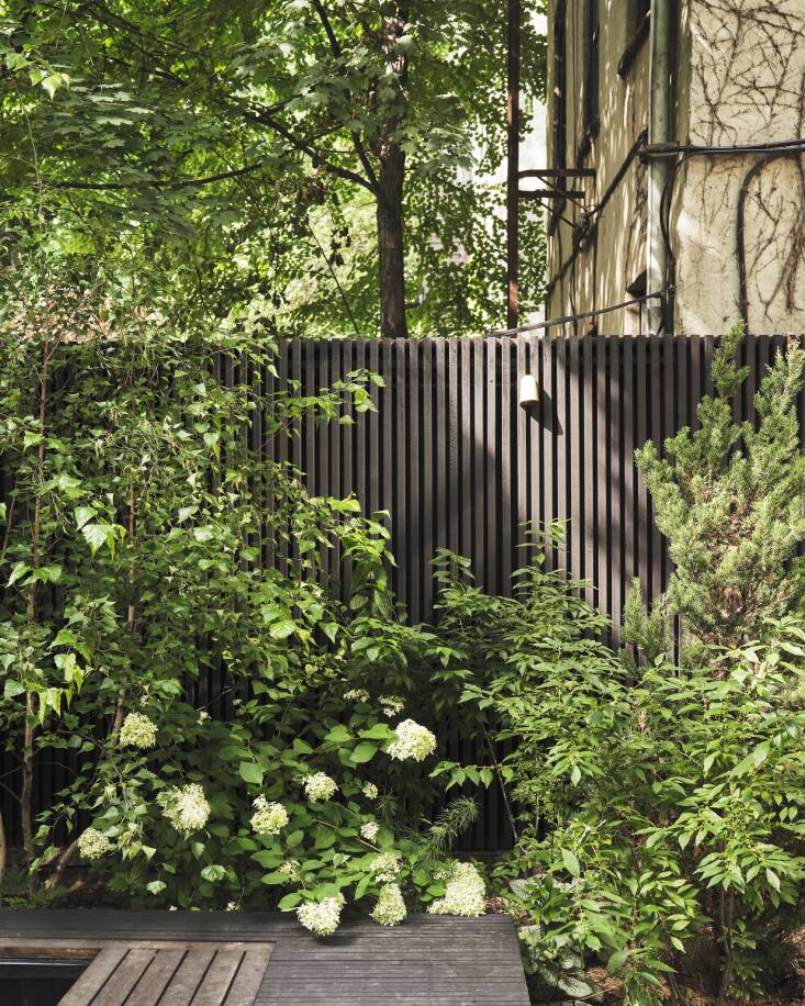 \2\20;Both the fence and pool deck are made of \2&#\2\15;\2 clear cedar. The fence was added, wrapping three sides of the space and creating a continuous visual enclosure around the entirety of the garden. All the wood was treated with black pine tar, a natural and long-lasting wood preservative. Pine tar is an interesting finish because while it takes much longer to dry/cure than a stain or paint, you only need to apply more coats to maintain it. Even better yet, the more coats applied, the less you need to maintain it in the future.\2\2\1; (See Curb Appeal \10\1: Everything You Need to Know About Pine Tar.)