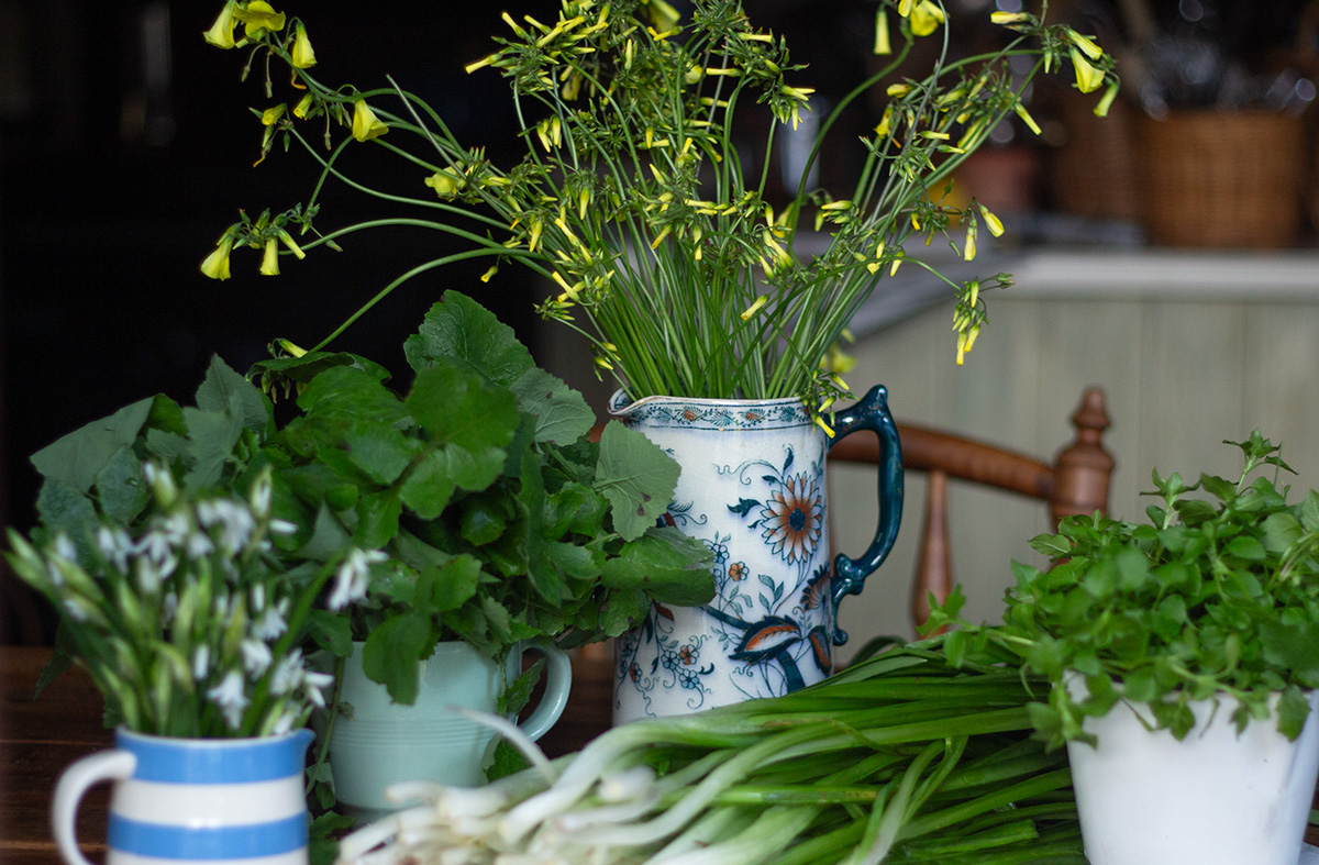 Bermuda Buttercup’s Sour, Bright Flavor Is Great for Cooking