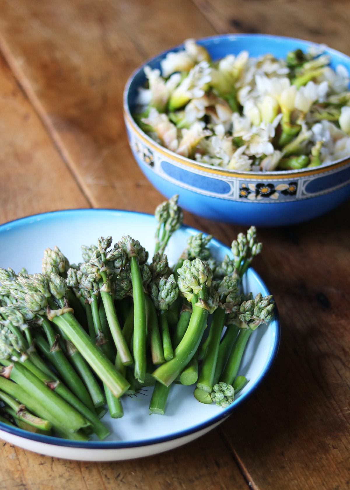 Veldkool: A Wild South African Vegetable that Can Be Foraged in the Spring