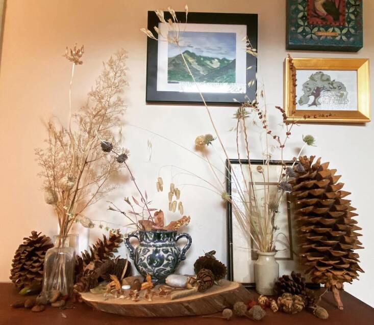 An altar to seeds.