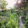 Greatest Hits 2025: 6 Ideas to Try From Landscape Designer Jo Thompson's 'The New Romantic Garden'