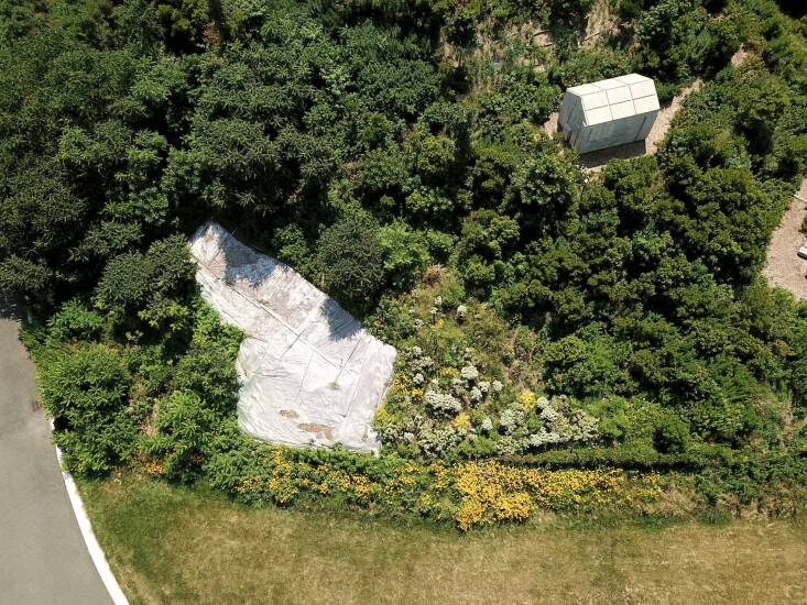The solarization patch on Governors Island. Photograph by Logan Fisher, courtesy of the Trust for Governors Island.