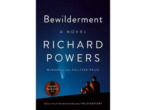 Bewilderment