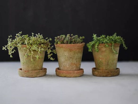 Earth Fired Clay Herb Pot + Saucer, Set of 3