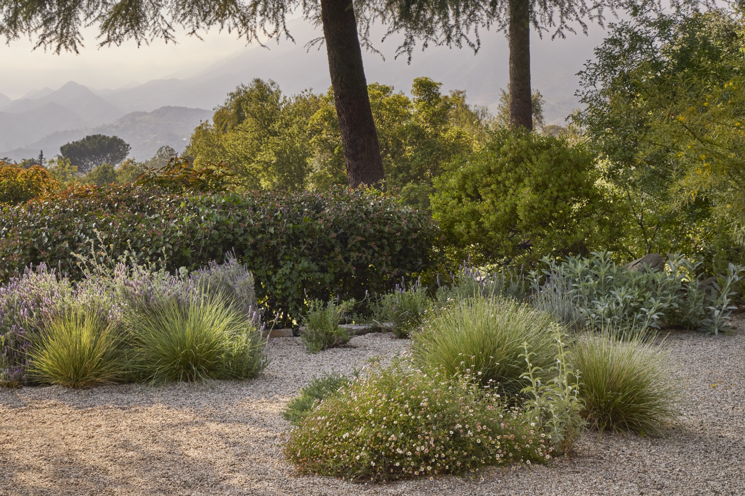 Ojai Gravel Garden by Terremoto: An Interview with David Godshall