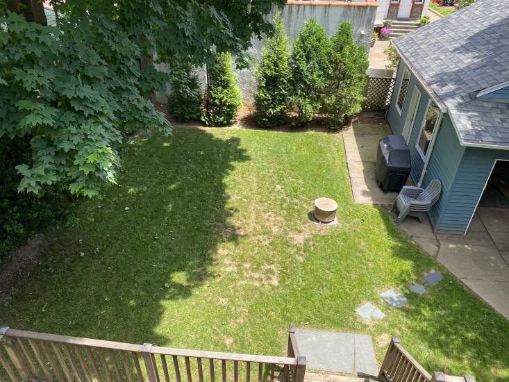 The yard was nothing but balding grass, arborvitae, and a stand of Norway maples. One impactful move Bertulli and Osofsky made was asking the neighbors if they could paint the back walls of their garages the same color. Luckily, they agreed.