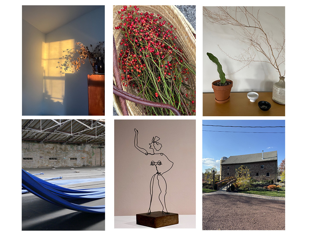 What We Loved in November 2025, Remodelista and Gardenista Editors