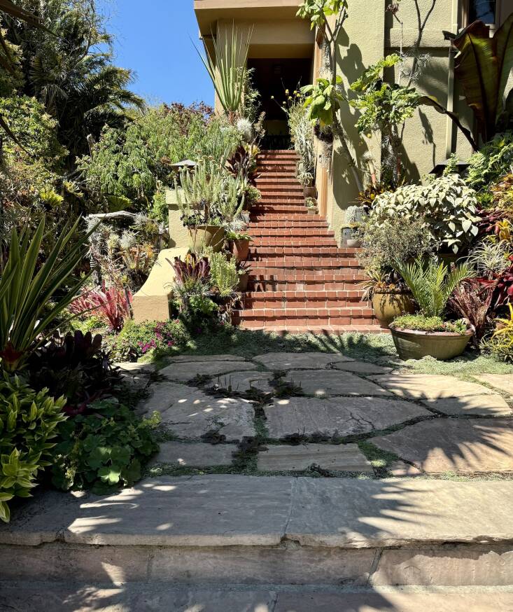 Even the steps leading to Ann’s front door are decorated with specimen potted plants, creating another plant-filled experience.