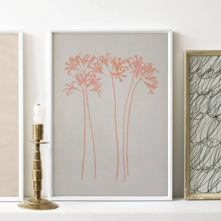 Says Margot: \2\20;In May, I wrote a story about Sandy Suffield\2\17;s paper flowers—made from salvaged packaging materials and presented in found frames. In addition to her originals, Sandy also offers prints that are lovely and work well in groups. I would love to have one—or many, I especially like this one of Nerine (£95.00).\2\2\1;