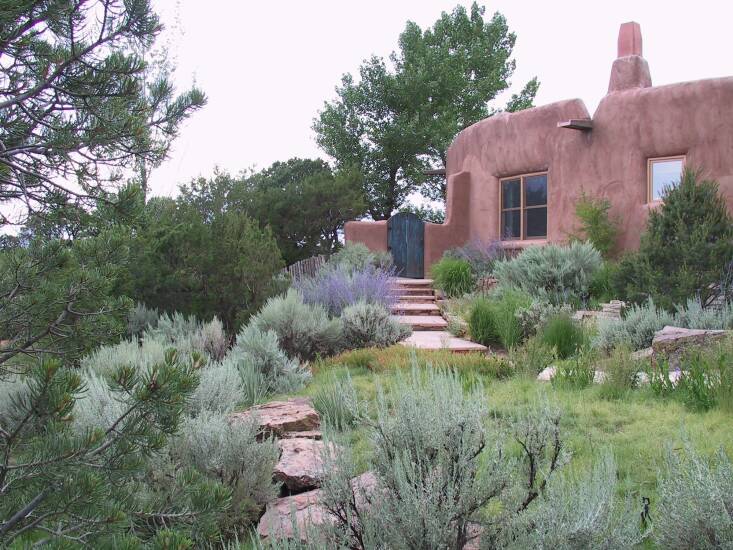 A native garden in Santa Fe, NM, designed by Richard. Photograph by Richard Hayden.
