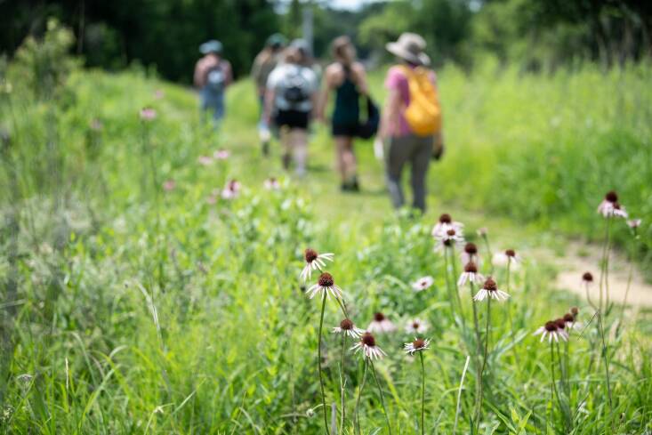 Participants in a butterfly class hosted by Wild Ones’ Fox Valley Area Chapter at the UW–Madison Arboretum. Photograph by Catherine McKenzie, courtesy of Wild Ones.