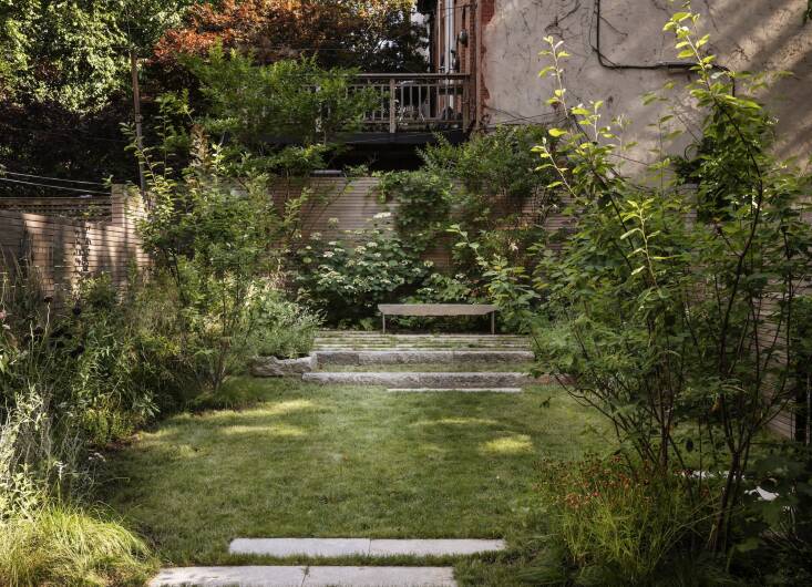 For a Brooklyn client, landscape designer Julie Farris chose to seed a turf grass and clover in the backyard for a low-maintenance and sustainable lawn. Photograph by Matthew Williams, courtesy of XS Space, from Garden Visit: A Secret Garden in Clinton Hill, Brooklyn.