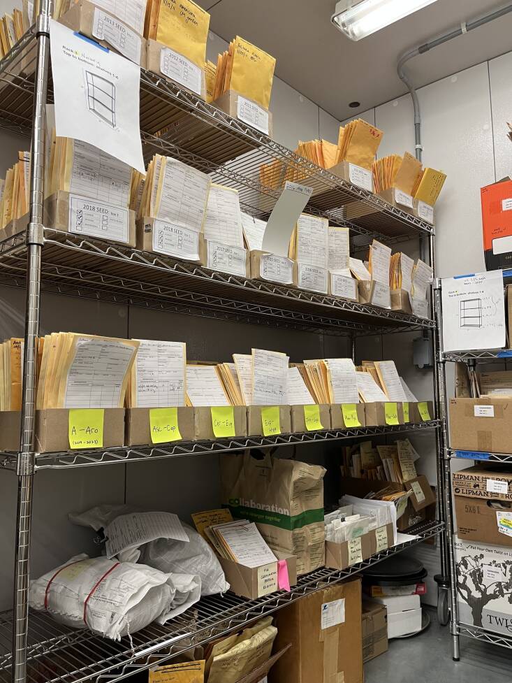 Inside Native Plant Trust’s rare plant seed cooler, one of several repositories that make up the rare plant seed bank. Photograph by Alexis Doshas © Native Plant Trust.