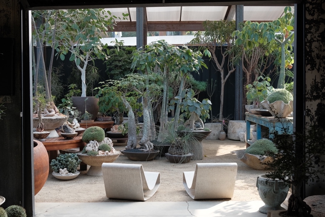 The Haus Plant studio in Los Angeles.