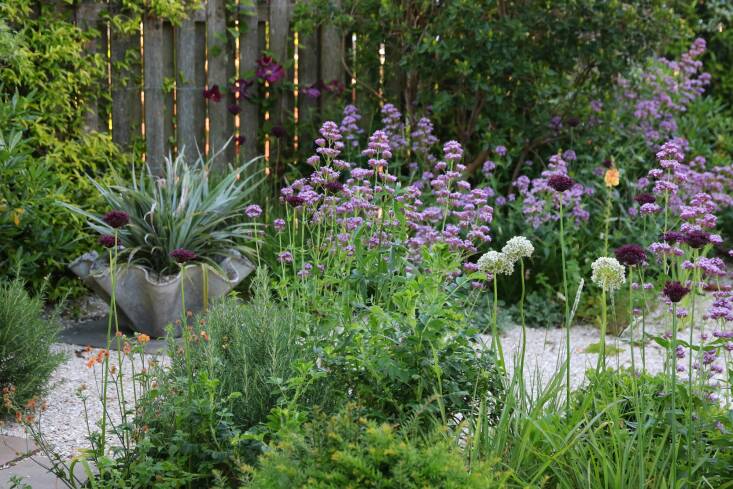 Morton describes his drought-tolerant planting scheme as “deceptively simple,” noting he used repeated structural planting with a matrix of grasses that “allow the feature plants to really stand out when it is their turn to shine.” Strategically-placed, naturalistic evergreen shrubs break up the space and define different areas within the garden. 