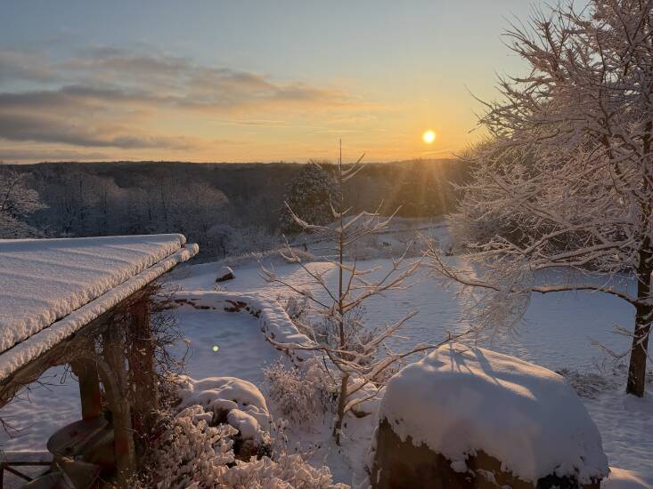 Needham takes stock during the winter of what is working and what could be improved. The intense snow this winter has made her rethink her compost situation and consider adding a bin closer to her house, so she doesn’t have to shovel such a long path to reach the main compost each time it snows. Photograph by Leslie Needham.