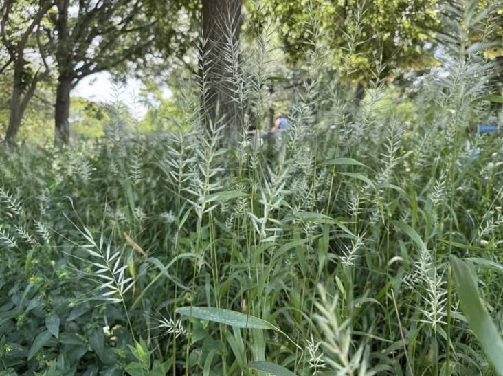 Photograph via Wild Cherry Farm.