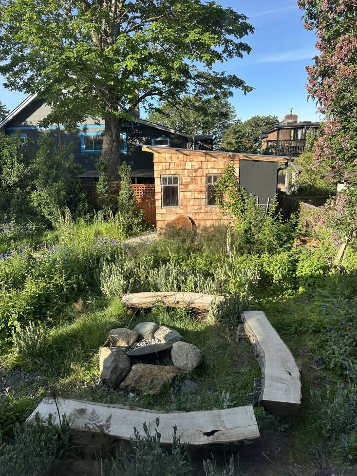 When a black locust had to come down in the front yard, Campbell’s friend brought over a chainsaw mill and they turned the felled tree into benches to surround the firepit. Campbell lets the nearby fennel grow tall and go to seed, so it can feed the birds all winter.