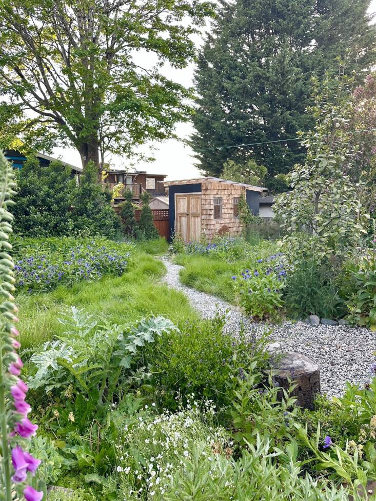 The shed was crafted from upcycled building materials, windows, and doors and created a much-needed home for tools. Campbell notes that the gravel path was once wider, but with time the native, now-mow fescue lawn, which was grown from seed, has filled in on both sides. “In the spring, the fescue is just lush and beautiful,” says Campbell. “By summertime, it\2\17;s still green in a lot of areas, and then it turns this beautiful sort of golden brown.”