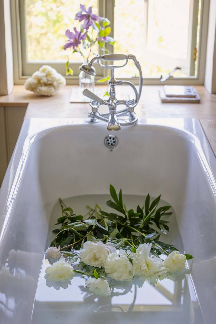 A new-to-me concept that I learned from her book is to submerge certain plants before arranging, such as hydrangeas, peonies, and hostas. Here Paeonia lactiflora \2\16;Duchesse de Nemours\2\17; is being conditioned in a bath. Photograph by Jonathan Buckley.