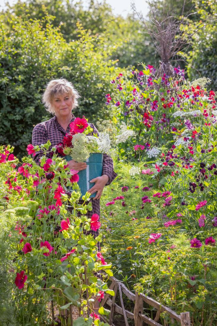 Sarah Raven with a bucket of cut flowers in her cutting patch. Photograph by Jonathan Buckley.