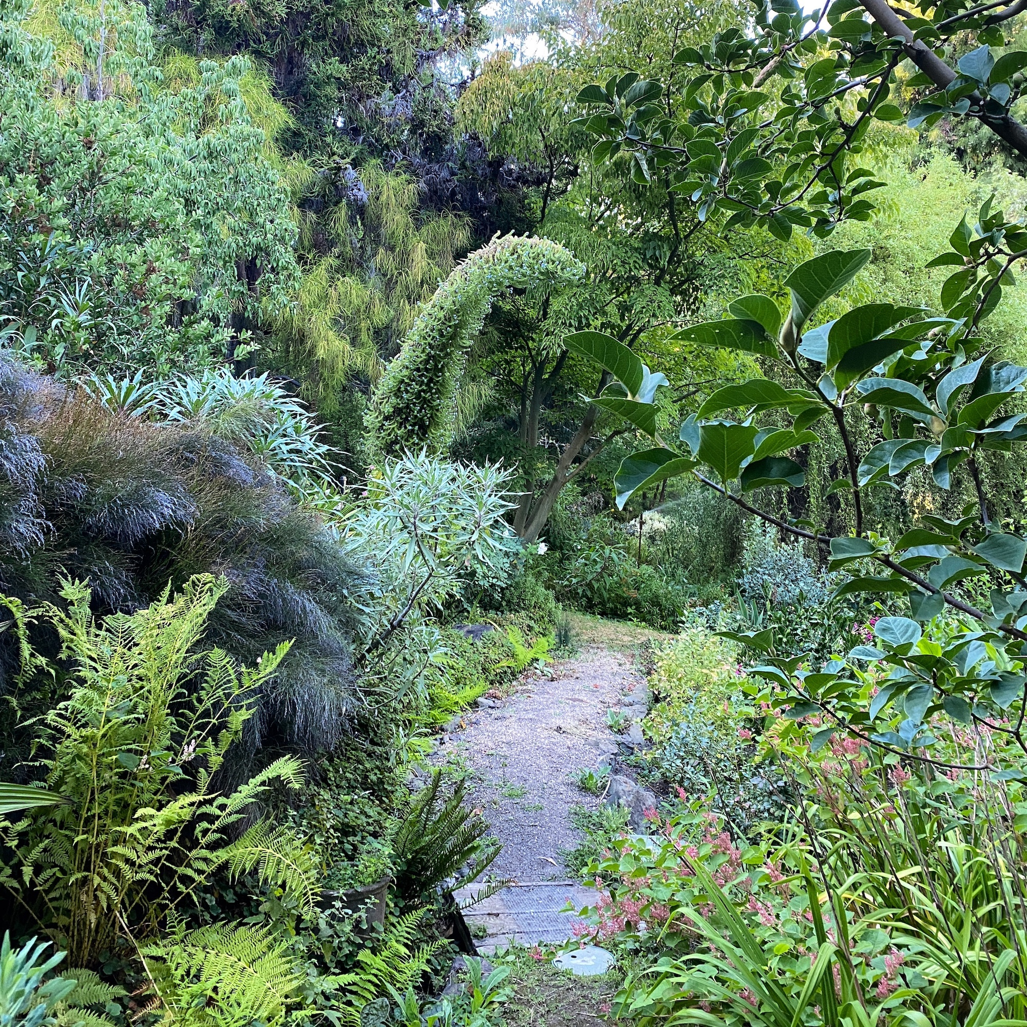 western-hills-crop.jpg