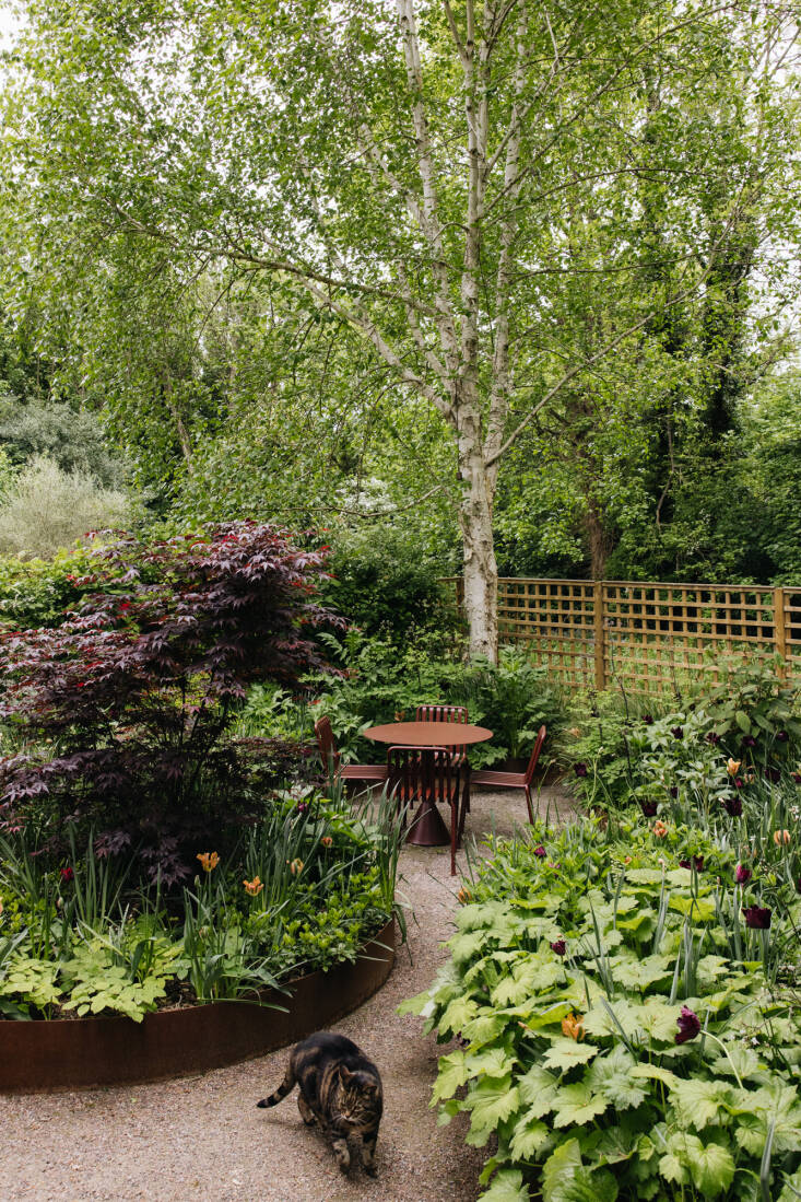Four curved custom Cor-ten steel raised beds contain the woodland garden below. Alexandra chose a selection of plants, like Heuchera villosa and Anemanthele lessoniana, that would thrive in the sun-dappled yard, which is surrounded by mature trees.