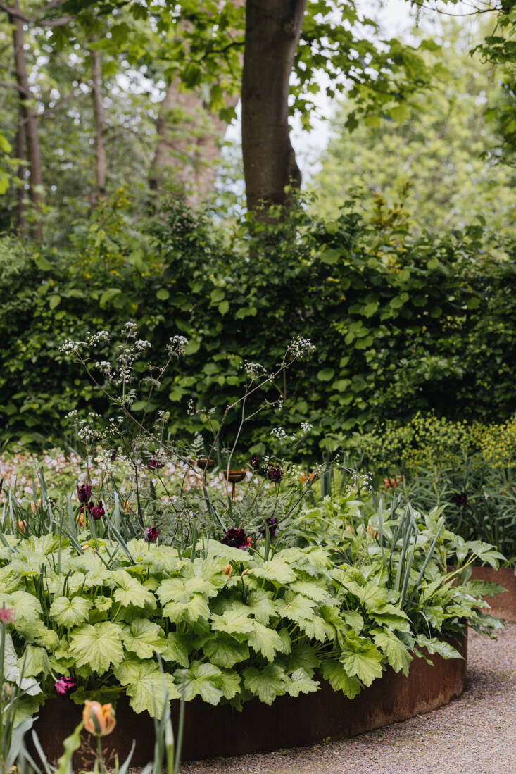 The rounded Cor-ten raised beds were custom-made. For similar planters, consider Plantercraft\2\17;s Corten Steel Round Planters, which come in a range of sizes. For a rectangular shape, try the Corten Steel Series Long Box Planter from AllModern.