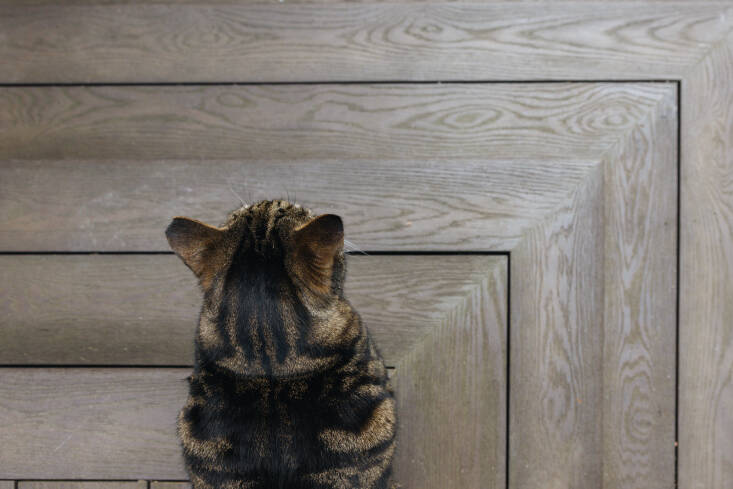 The composite decking is from Millboard.