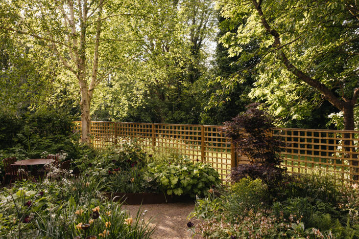 Instead of a picket fence or wall, Alexandra opted for square trellis panels that make the small garden feel more expansive. She sourced them from The Garden Trellis Co.