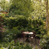 Steal This Look: A Lush Woodland Garden in London