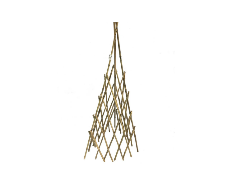 The Bamboo Teepee Trellis is \$\23 at Plant Material.