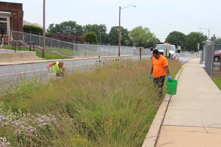 The importance of maintenance is strongly emphasized in the second edition. In addition to completed gardens, the book features instructive photos of installation. Photograph by Claudia West.