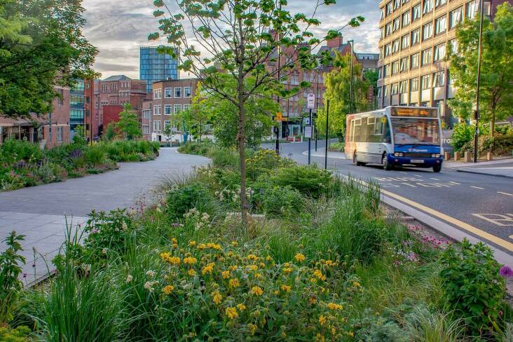 Part of the Grey to Green Project for Sheffield, which also graces the cover, this project was designed by Dunnett to address flooding and boost biodiversity.
