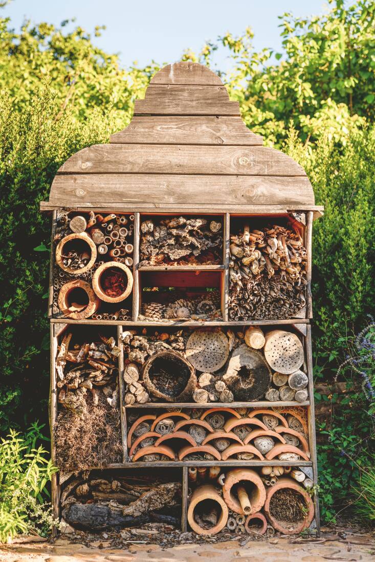 Photograph courtesy of Babylonstoren.