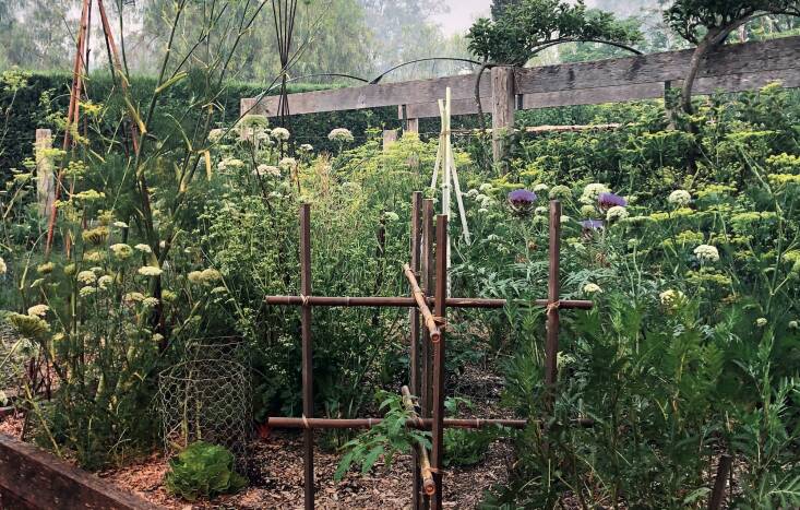 Photograph by Mickey Robertson.