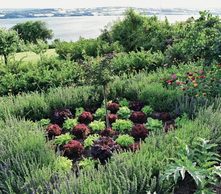 Photograph by Claus Dalby.