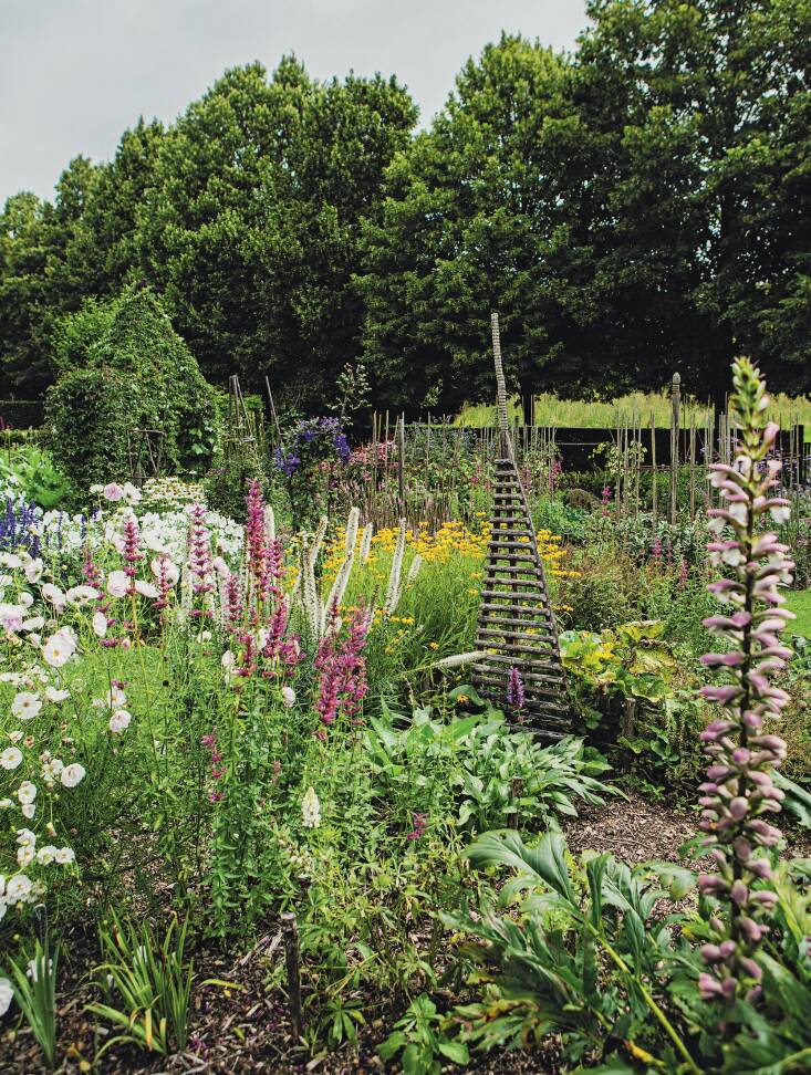 Photograph by Hannes Verstraete.