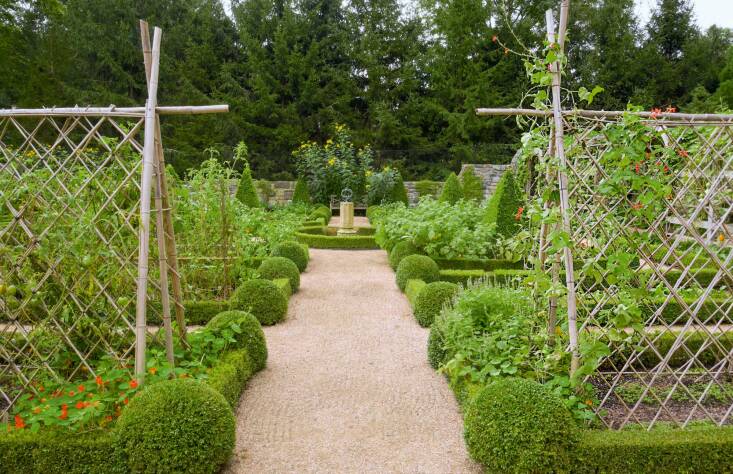 Photograph by Curtice Taylor.