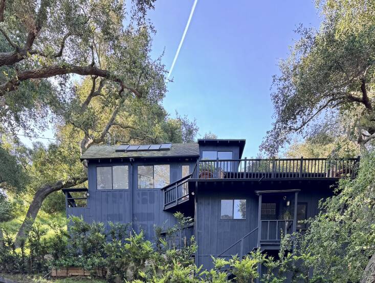 Los Angeles-based landscape designer Mintee Kalra of Peruse painted her \19\20s cottage black when she bought it. Kalra tested colors on every exposure of the house, settling on Sherwin-Williams’s Tricorn Black in a satin finish, which she says offers “just enough reflectivity to hold depth without reading glossy.” Eventually, she plans to re-clad the house in sugi ban cladding as a fire-resistant safety measure. Photograph courtesy of Peruse.