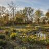What Would the Queen Think? The New London Garden Named After the Late Queen Elizabeth II