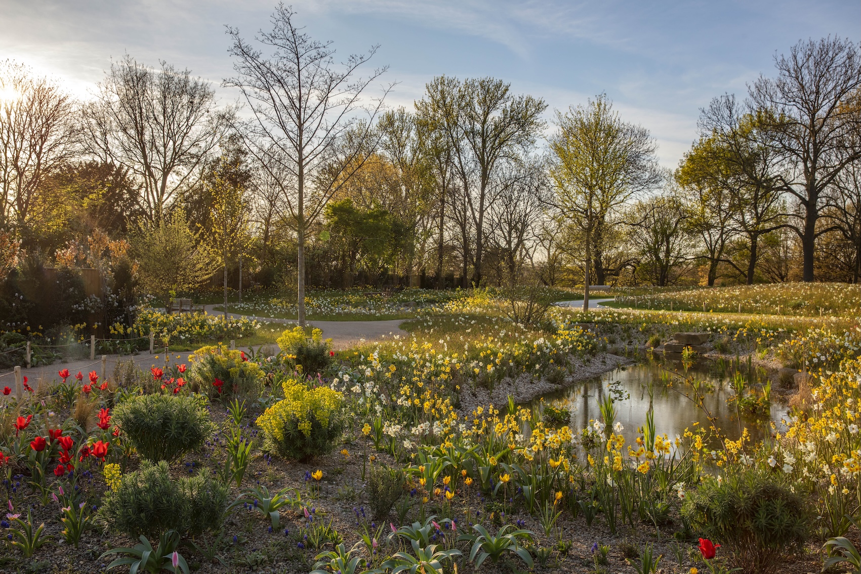 What Would the Queen Think? The New London Garden Named After the