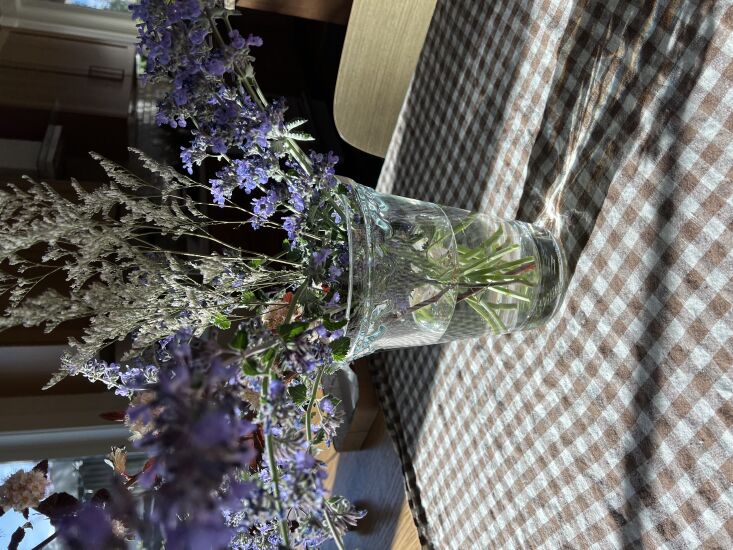 \2\20;My newest vase: the Bergs Potter Copenhagen Vase. I love that it\2\17;s essentially their classic terracotta pot—but in glass.\2\2\1; \2\1\1; Fan Winston