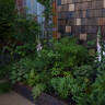 The Beauty of Imperfection: A Favorite Garden at this Year's Chelsea Flower Show